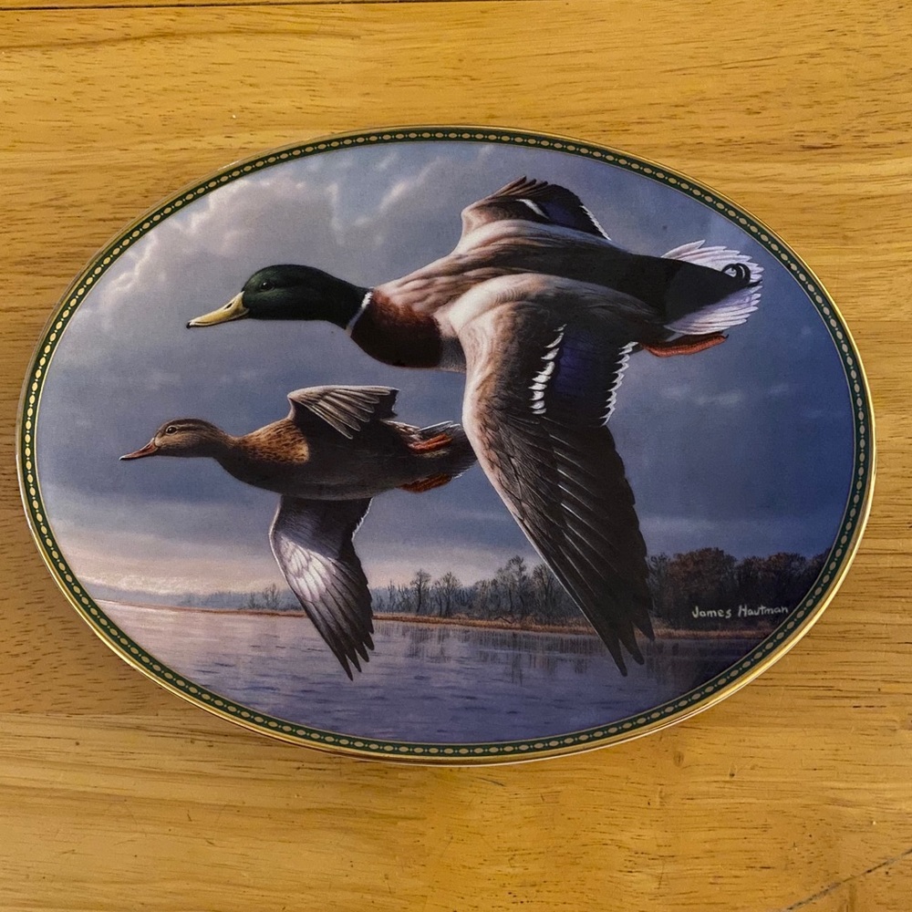 Mallards on the wing collectible plate